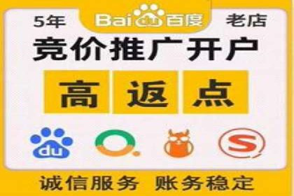 SEM服务公司助力企业流量增长案例